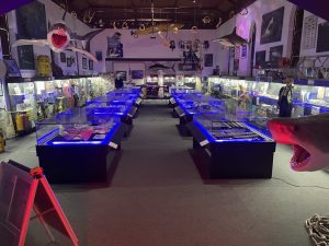 Rodney Fox Museum