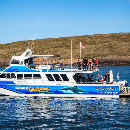 Calypso Star Charters