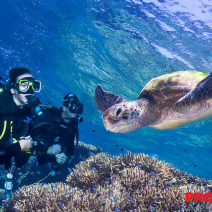 PADI Rescue Course Pro Dive Cairns