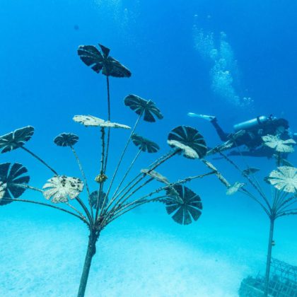 Museum of Underwater Art flowers