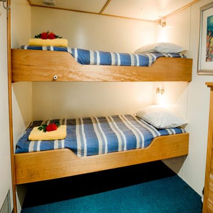 Mike Ball Budget Cabin