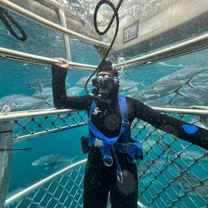 Surface Cage Dive