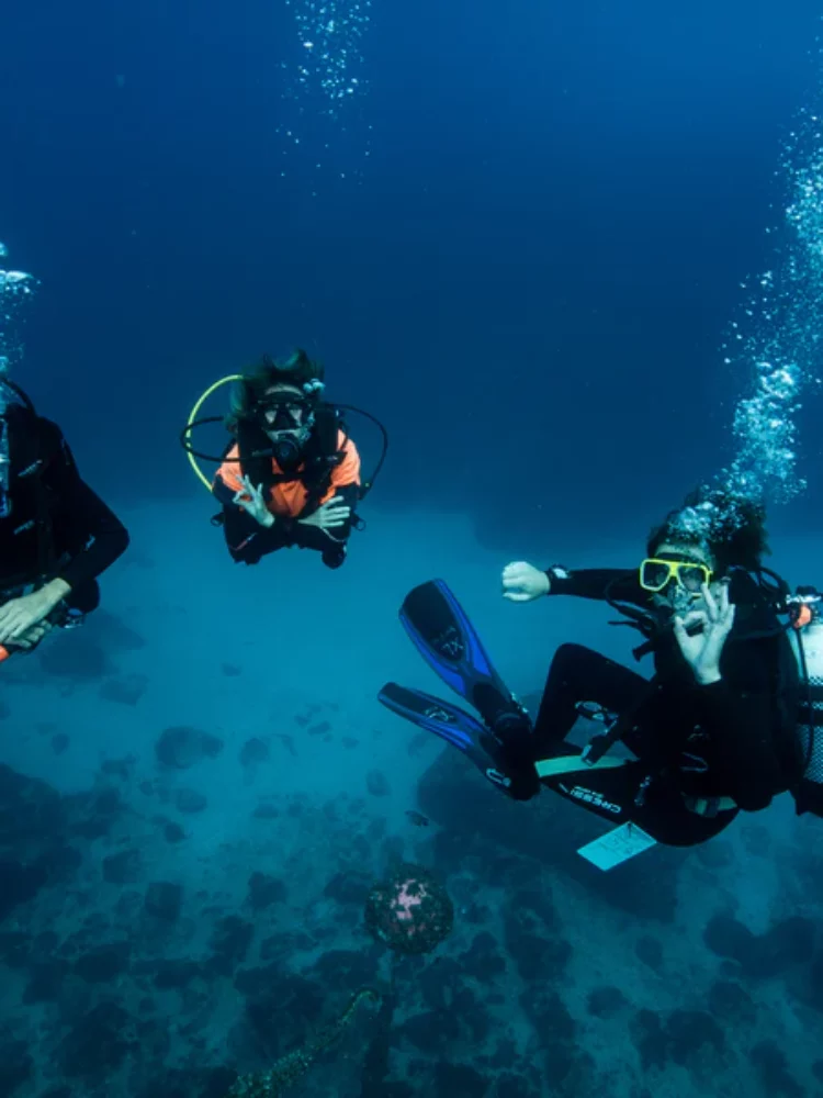 Sundive Byron Bay - Learn to Dive