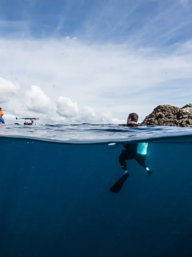 Sundive Byron Bay Scuba Divers at Julian Rocks