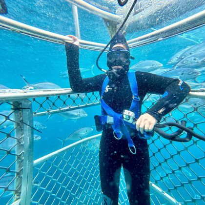 Calypso - Surface Cage Diver