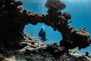 Scuba Diving Great Barrier Reef