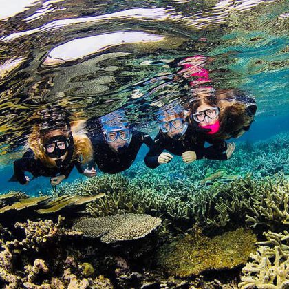 Snorkelling the Great Barrier Reef