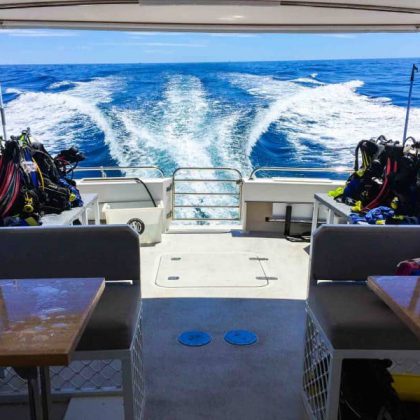 ABC Snorkel Charters Vessel II