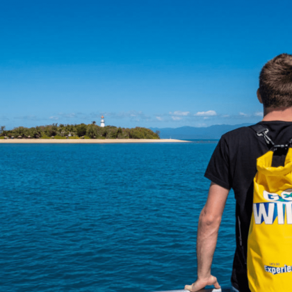 Calypso Low Isles Half Day Cruises - Snorkelling (2)