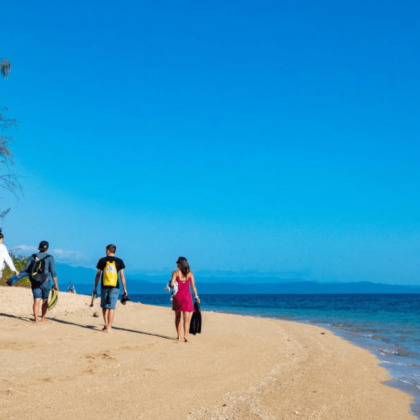 Calypso Low Isles Half Day Cruises - Snorkelling (5)