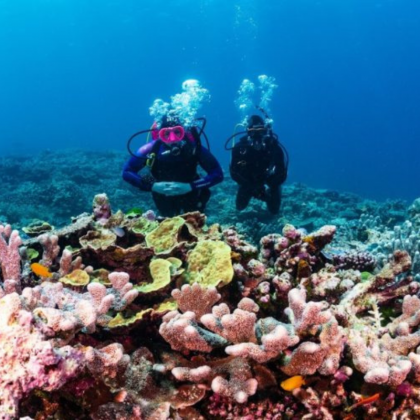Dive Spear Sport Southern Great Barrier Reef (10)