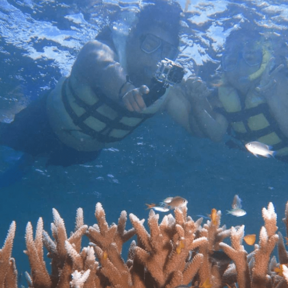 Great Adventures Great Barrier Reef Tour (6)