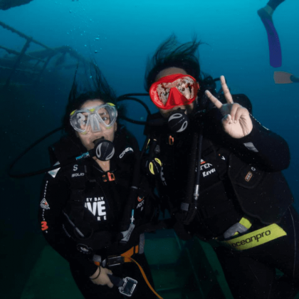 Hervey Bay Tobruk Dive Tour (6)