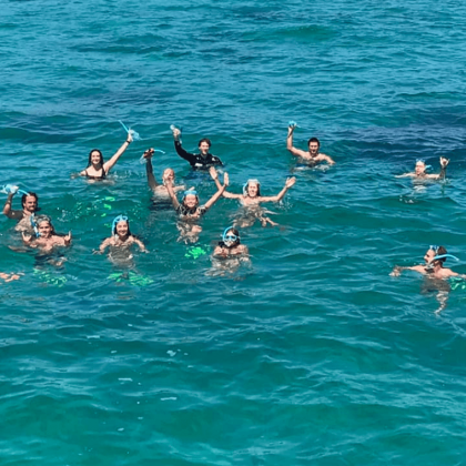 Hervey Bay Whale Swim and Watch (6)