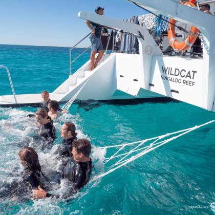 Ningaloo discovery