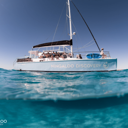 Ningaloo discovery