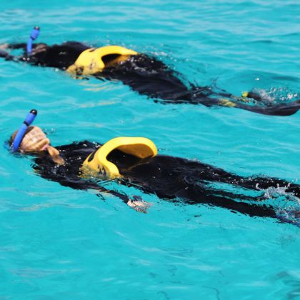 Pure Snorkelling Snorkel