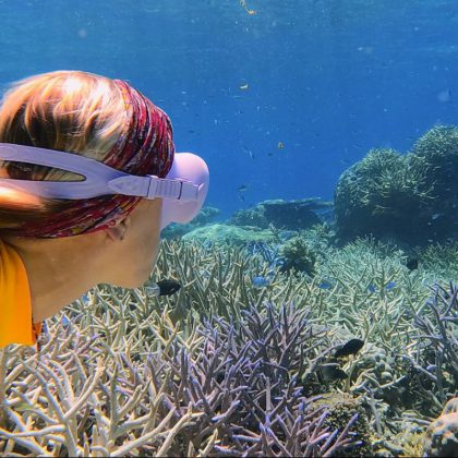 Pure Snorkelling Underwater