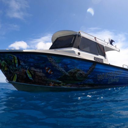 Whitsunday Dive Adventures