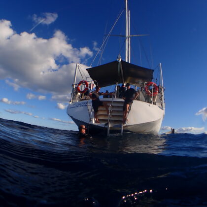 Summer Jo - On the Reef