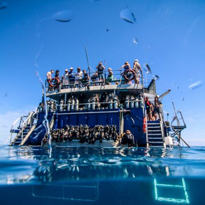 reef day reef experience