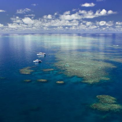 reef locations reef experience