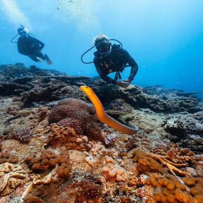 Divers at Great Keppel Island