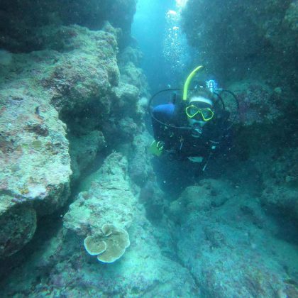 Diving Outer Great Barrier Reef