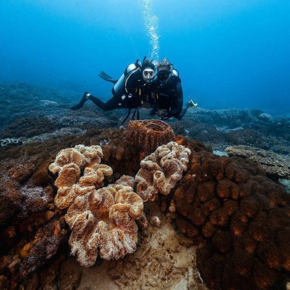 Scuba Divers at Reefs from Great Keppel Island