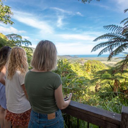 Daintree views