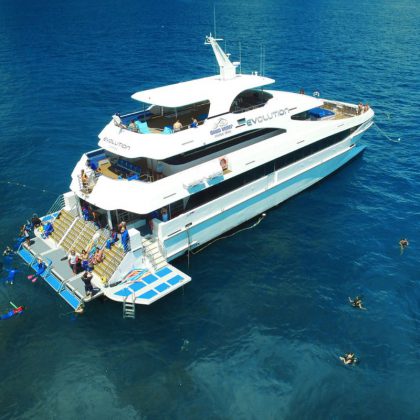 Evolution Aeriel view