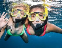 Evolution Snorkel