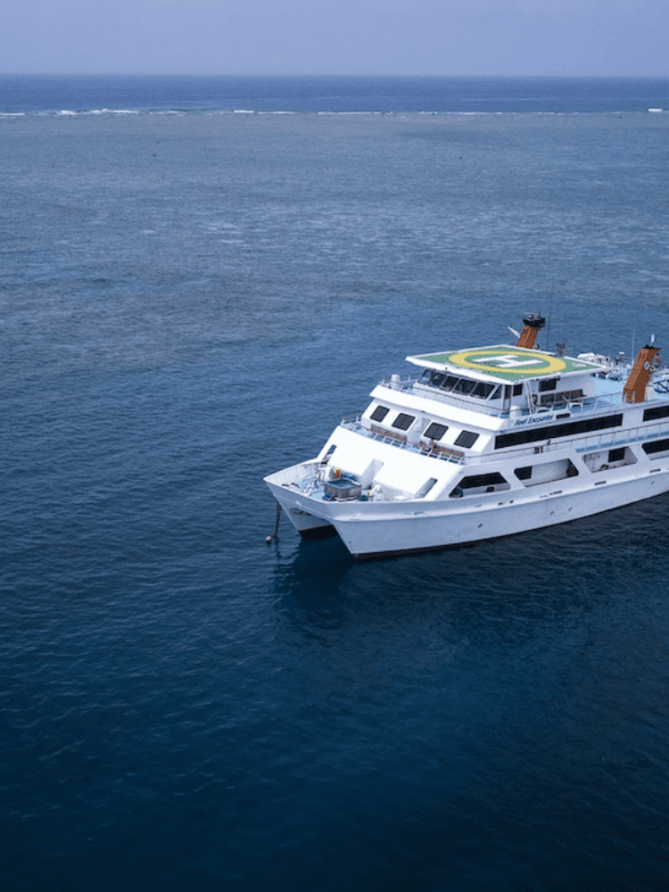 Special Offer – Cairns Liveaboard Trips