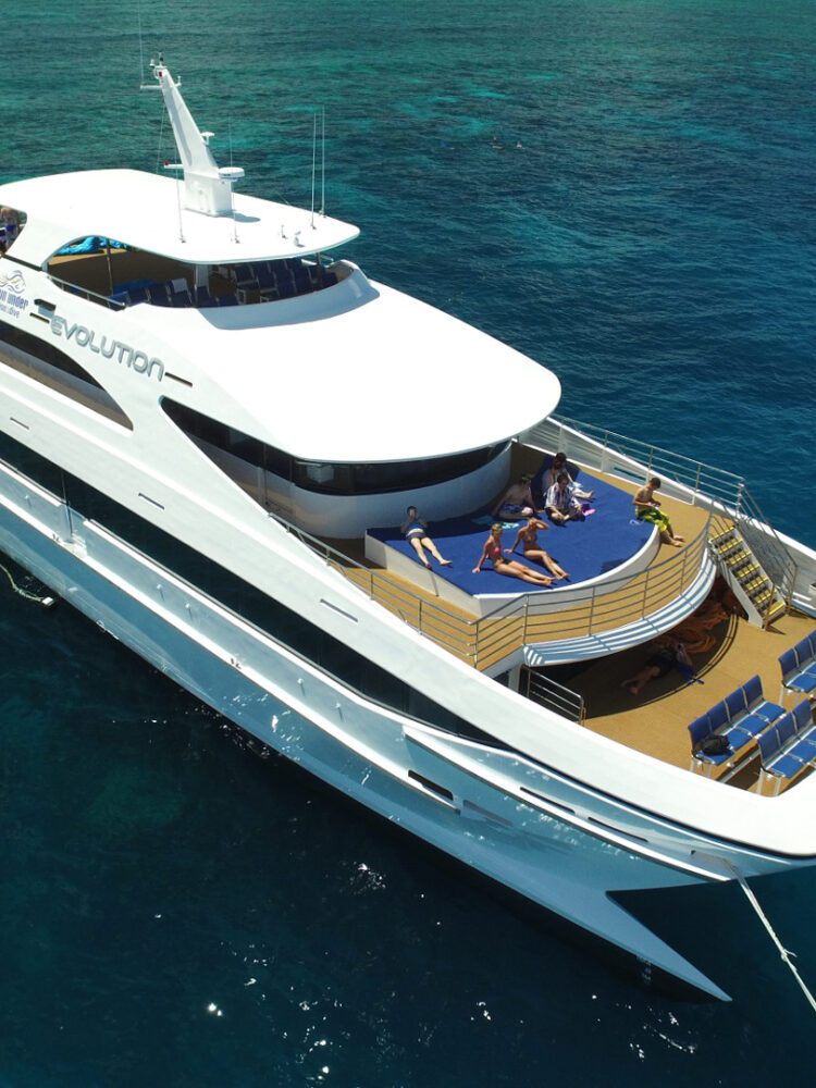 evolution cruise