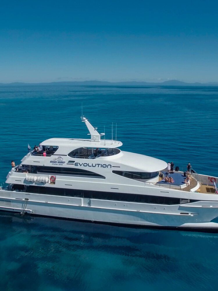 evolution cruise view