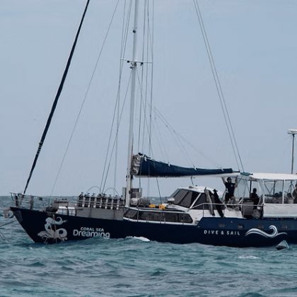 Coral Sea Dreaming - Great Barrier Reef