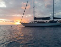 sunset waltzing matilda