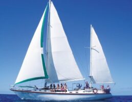 waltzing matilda boat