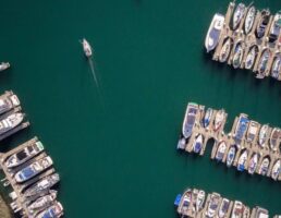 waltzing matilda marina