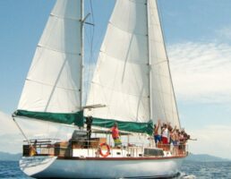 waltzing matilda sail