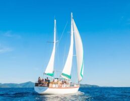 waltzing matilda sailing